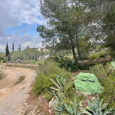 Paraiso Bell Tent Tortosa Kültér fotó