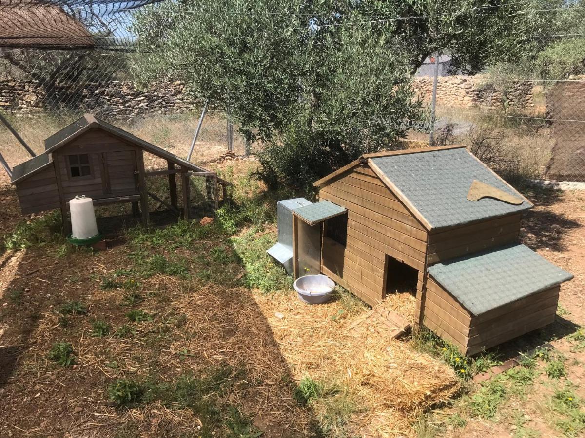 Paraiso Bell Tent Tortosa Kültér fotó