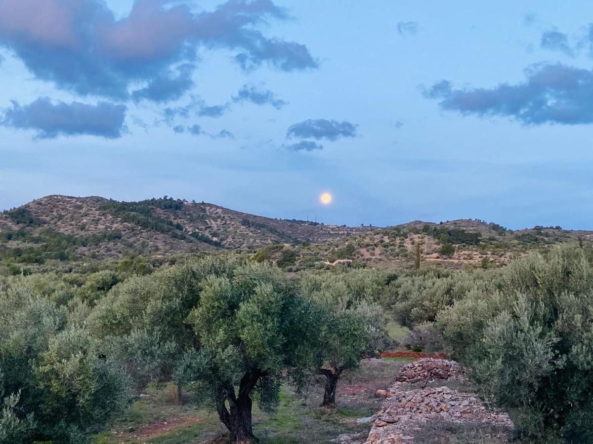 Paraiso Bell Tent Tortosa Kültér fotó