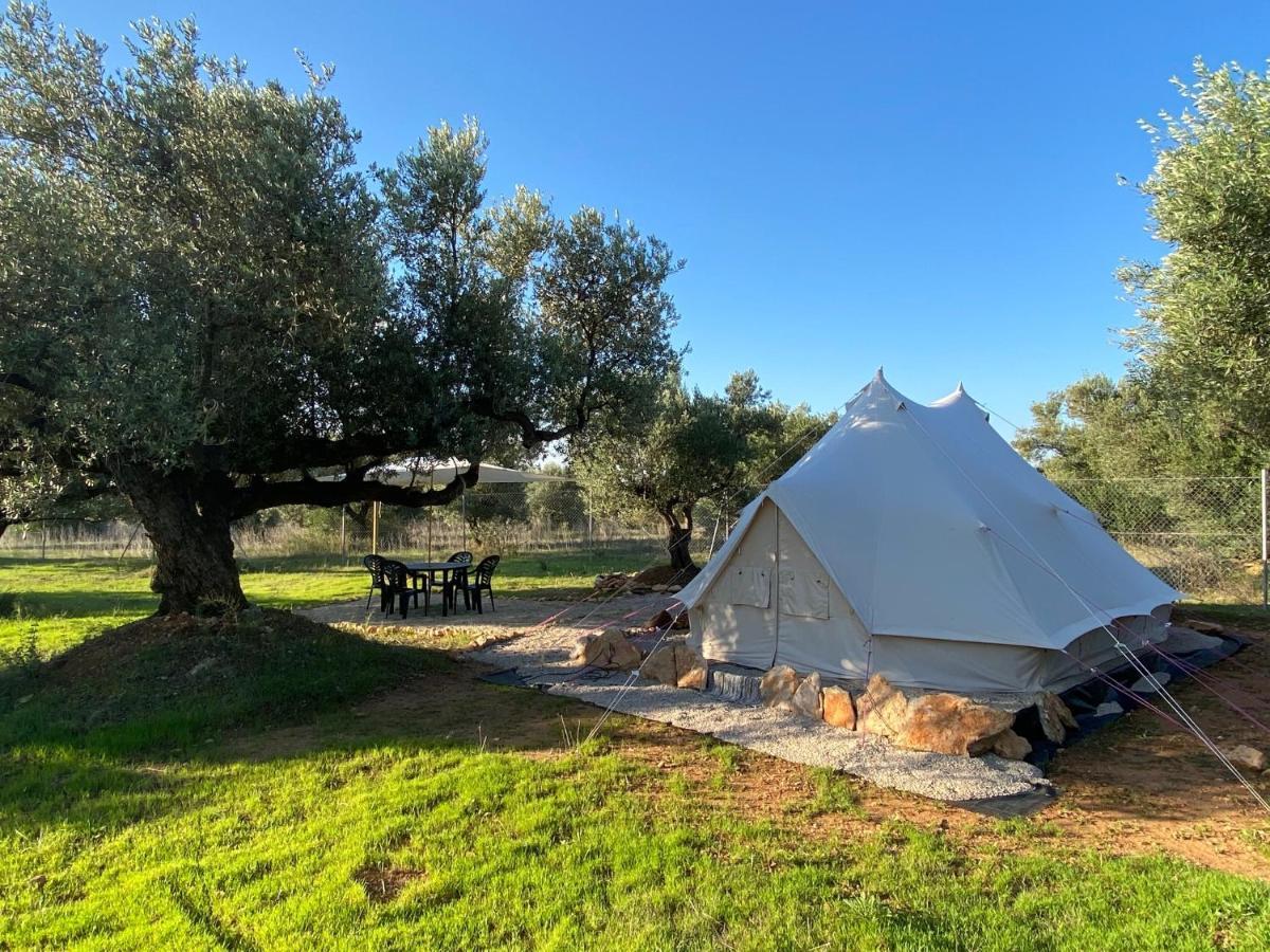 Paraiso Bell Tent Tortosa Kültér fotó
