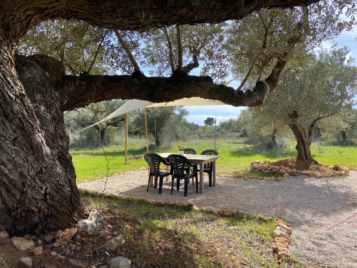 Paraiso Bell Tent Tortosa Kültér fotó
