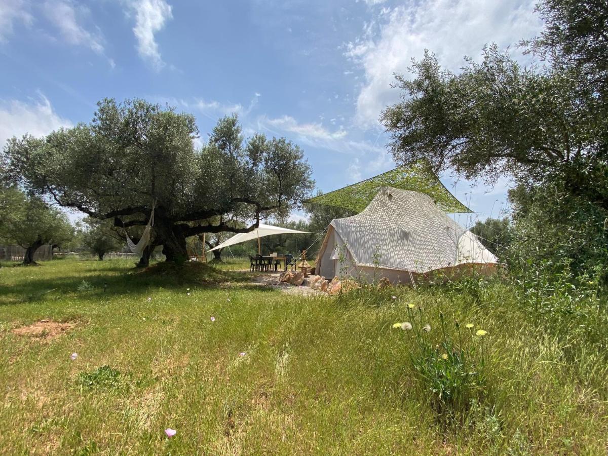 Paraiso Bell Tent Tortosa Kültér fotó