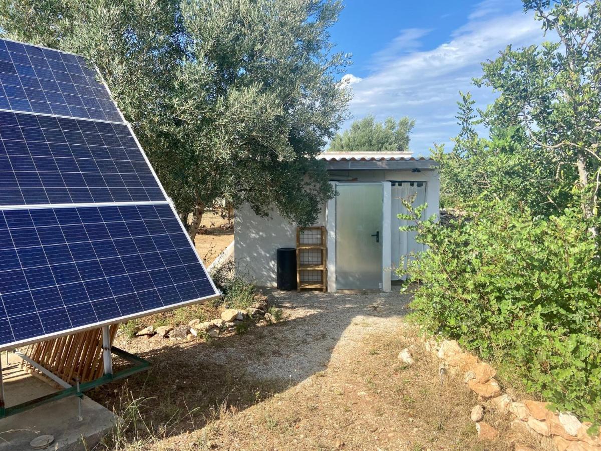 Paraiso Bell Tent Tortosa Kültér fotó