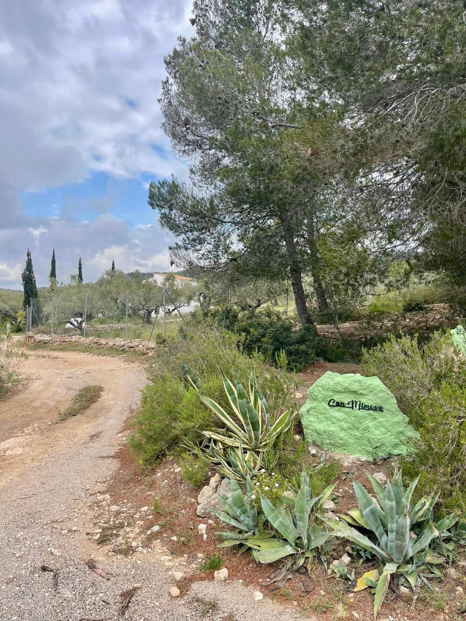 Paraiso Bell Tent Tortosa Kültér fotó